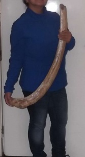 Mammoet rib 85 cm