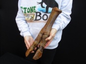 bison poot