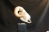 schedel ram