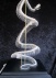 Skelet python
