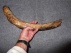Mammoet Rib