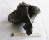 Halswervel paard