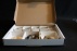 Collectie fossielen
