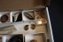 Collectie fossielen