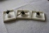 Collectie insecten