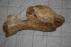 Mammoet heup (44cm)