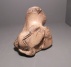 calcaneus