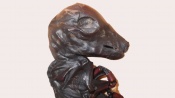 steenvrucht M