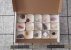 collectie gesteentes