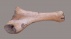 Mammoet elleboog